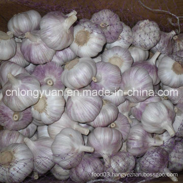 Chinese Fresh Normal White Garlic with Mesh Bag